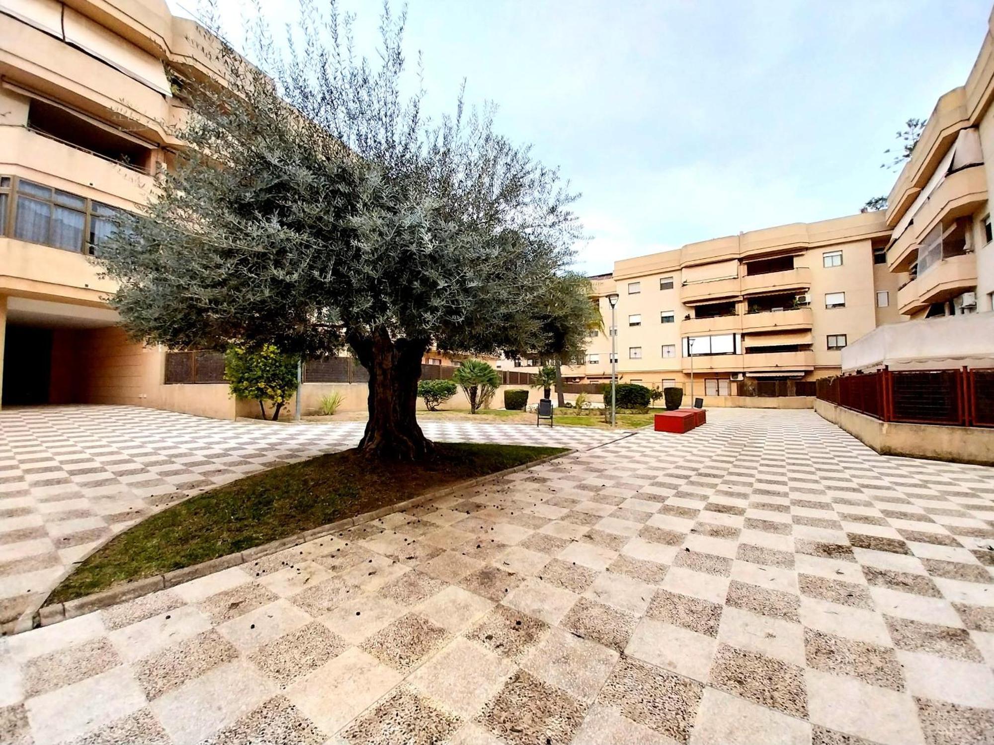Top Suite Apartment Jerez Jardin Y Patio Jerez de la Frontera Buitenkant foto