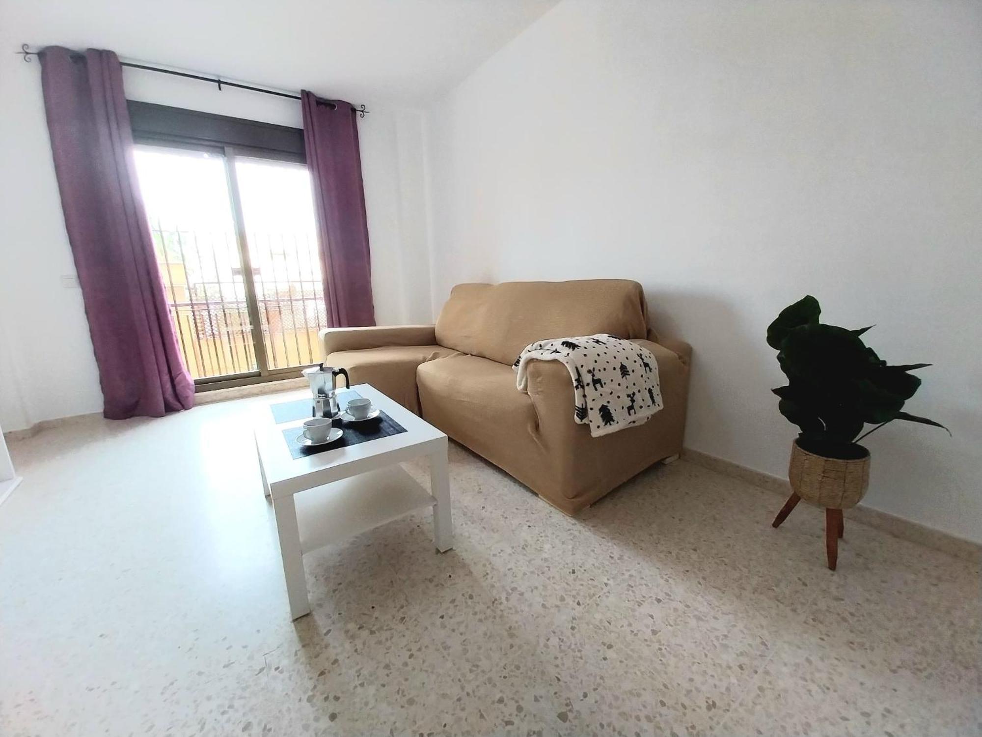 Top Suite Apartment Jerez Jardin Y Patio Jerez de la Frontera Buitenkant foto