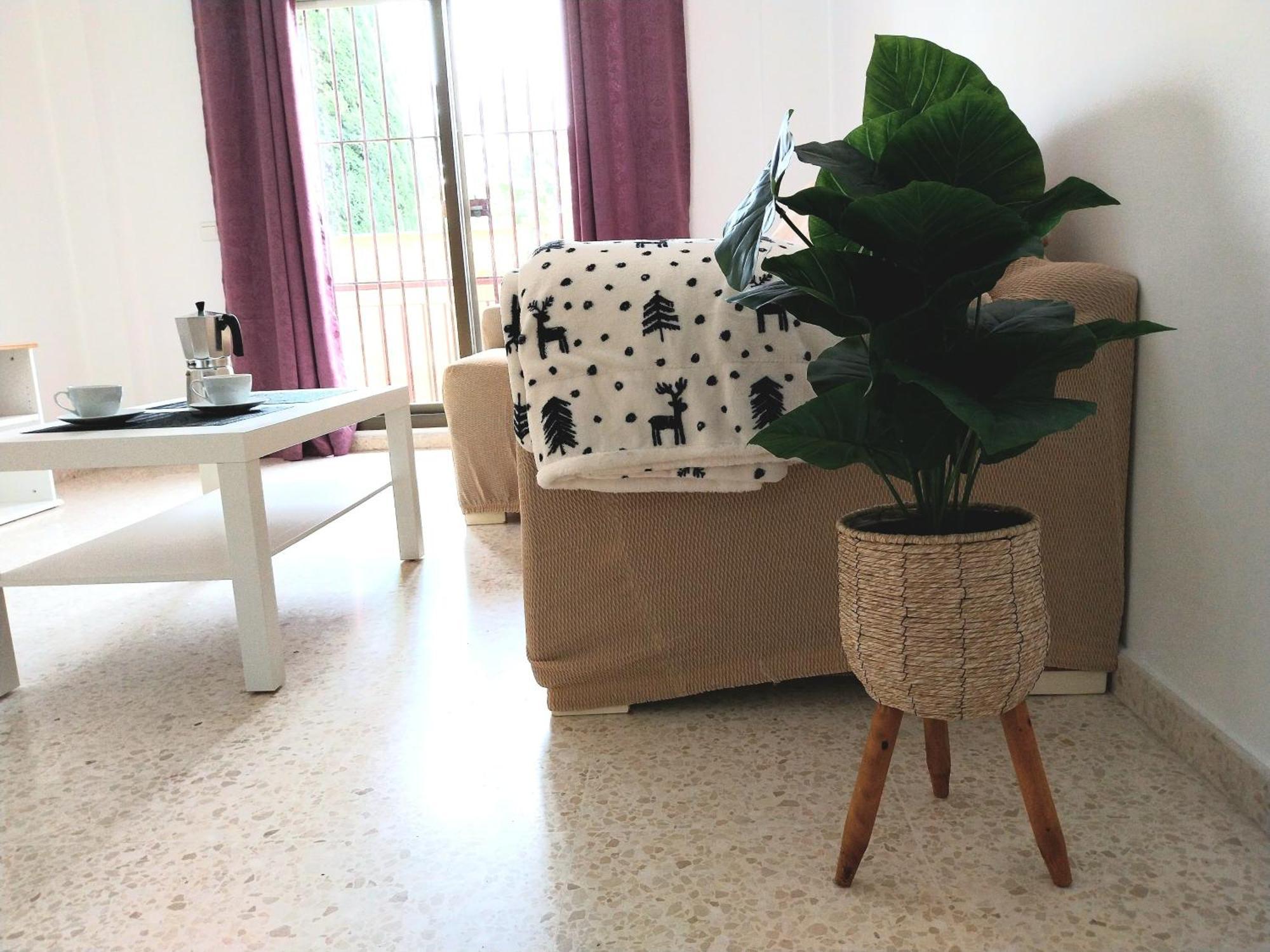 Top Suite Apartment Jerez Jardin Y Patio Jerez de la Frontera Buitenkant foto